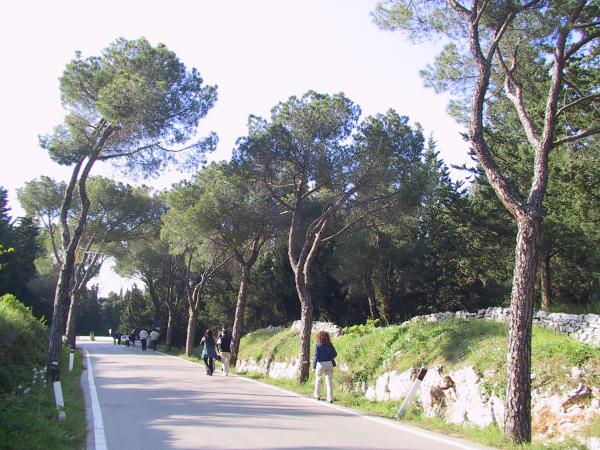 escursione guidata Castel del Monte - Andria, il suggestivo percorso a piedi che dal Castello porta al parcheggio senza prendere la navetta