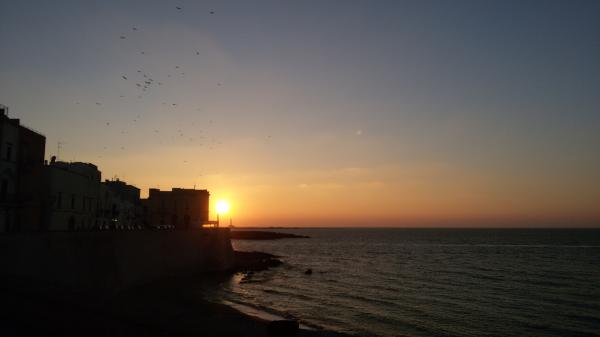 Visita guidata a Gallipoli, il tramonto con l'isola di Sant'Andrea