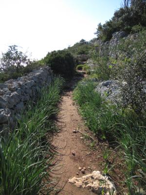 Passeggiata naturalistica al sentiero delle Cipolliane