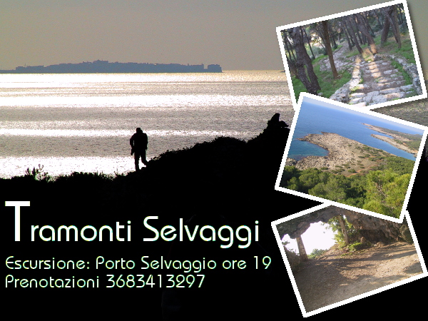 Escursione porto selvaggio escursione a Porto Selvaggio