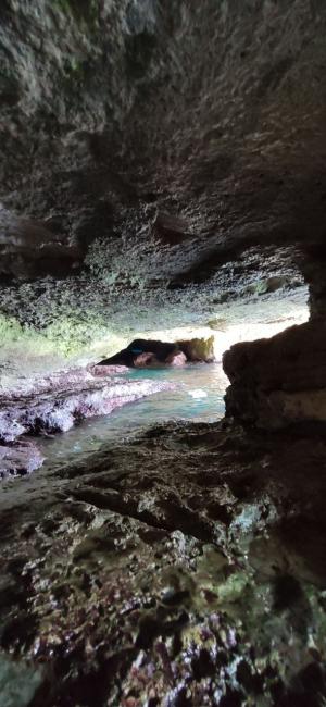 Passeggiata naturalistica dalla Grotta verde a Torre del Sasso
