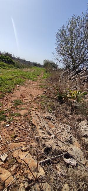 Passeggiata naturalistica sulla collina di Sant'Eleuterio a Matino