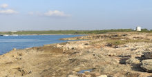 Percorso: il parco di Lido pizzo sant'andrea a gallipoli