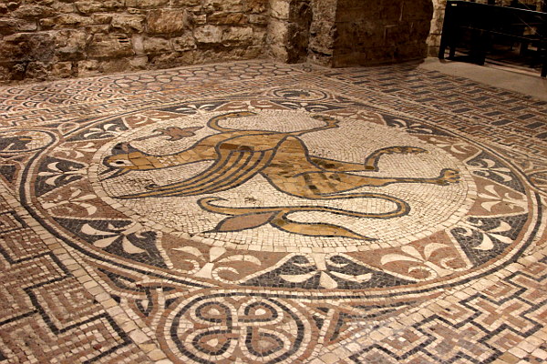 Visite guidate per gruppi e scuole a Bitonto, mosaico del grifone nel succorpo della cattedrale