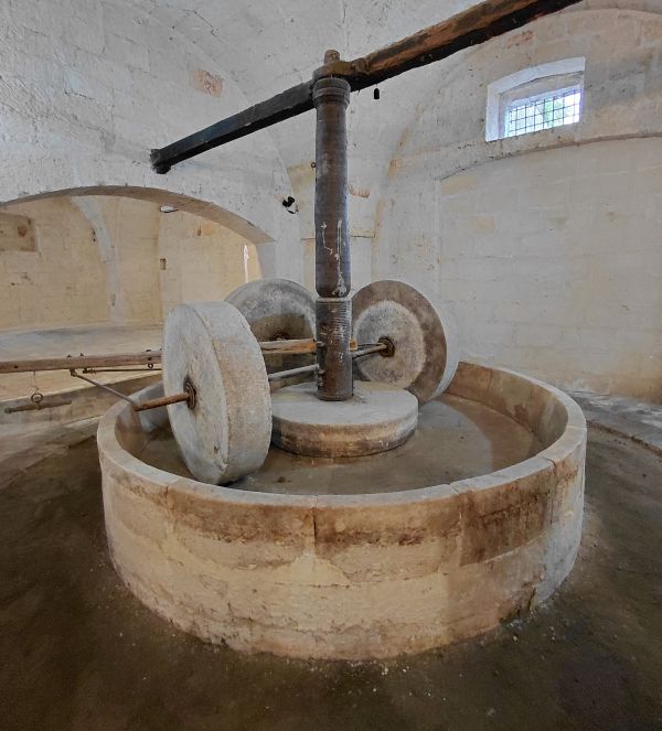 Visita guidata a Latiano, frantoio della casa di San Bartolo Longo