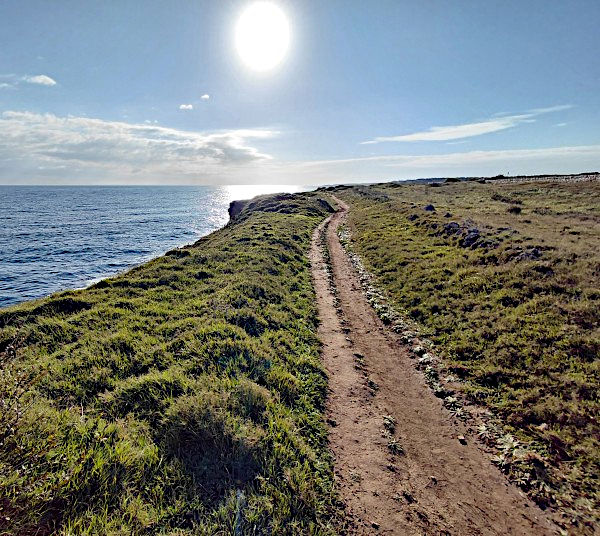 Passeggiata naturalistica da Torre Sant'Andrea: il sentiero sulla falesia