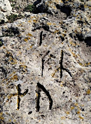 Antichi caratteri messapici incisi sulla scogliera