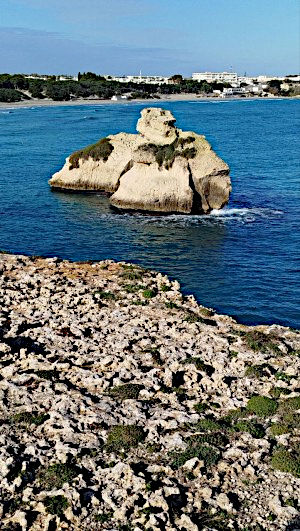 Passeggiata naturalistica a Torre dell'Orso: le due sorelle dal belvedere