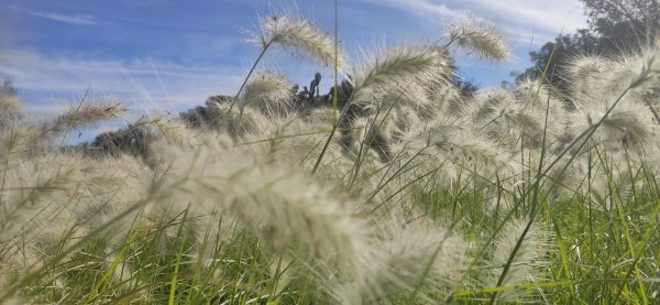 Passeggiata naturalistica da Santa Cesarea a Torre Specchia di Guardia