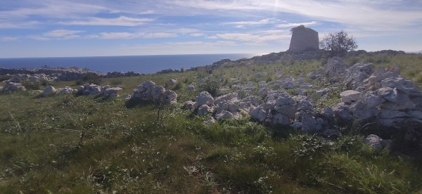 Passeggiata naturalistica da Santa Cesarea a Torre Specchia di Guardia