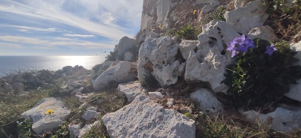 Passeggiata naturalistica da Santa Cesarea a Torre Specchia di Guardia