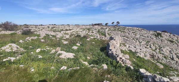 Passeggiata naturalistica da Santa Cesarea a Torre Specchia di Guardia