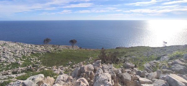 Passeggiata naturalistica da Santa Cesarea a Torre Specchia di Guardia