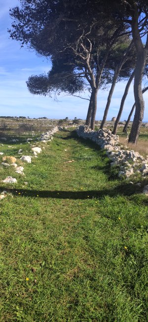 Passeggiata naturalistica da Santa Cesarea a Torre Specchia di Guardia