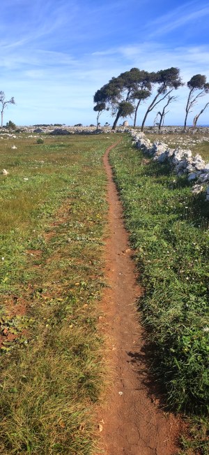 Passeggiata naturalistica da Santa Cesarea a Torre Specchia di Guardia